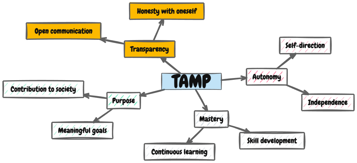 TAMP Part 2: Why Transparency is the Foundation of Real Leadership